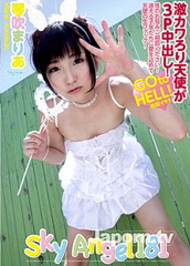 Sky Angel 181 / Sky Angel Blue 181 (2014)
